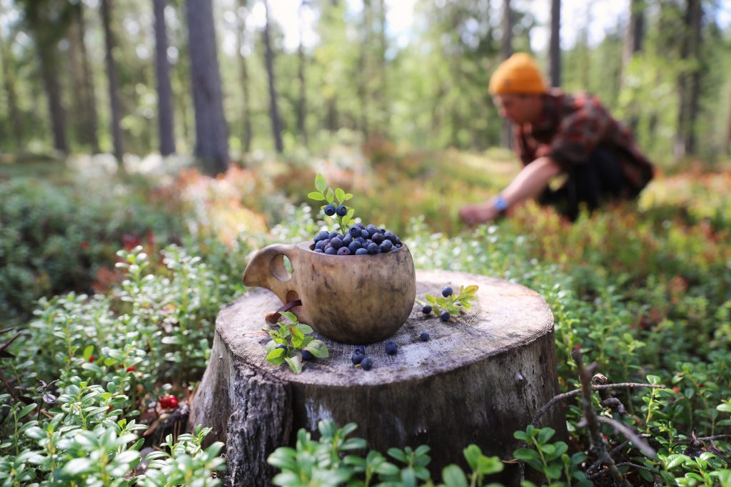 Blueberries